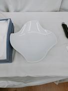 マルチボウル|リチャードジノリ