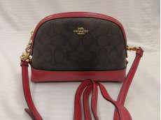 COACHｼｸﾞﾈﾁｬｰﾄﾞｰﾑｸﾛｽﾎﾞﾃﾞｨ|COACH