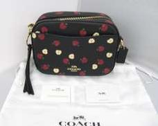 COACH　アップルプリント　ショルダーバッグ|COACH