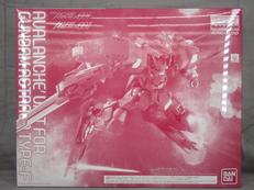 1/100 MG ガンダムアストレア|BANDAI