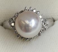 PT900パールリング|6.8G