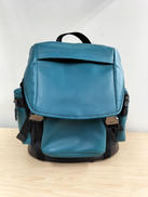 パーフォレイテッド テイレン トレックパック|COACH