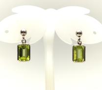 PT850ピアス|キャッチなし