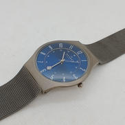 メンズクォーツ|SKAGEN