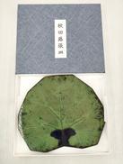 工芸菓子器|秋田蕗張工房