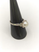 石付きリング|PT900