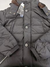 ジャケット|GOLDEN BEAR