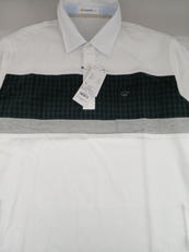 シャツ|GOLDEN BEAR