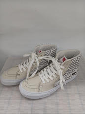 SK8-HI GORE-TEX|VANS