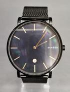 SKAGEN腕時計|SKAGEN