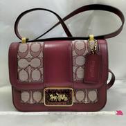 アリーショルダーバッグ|COACH