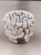 白萩　鬼萩　茶碗|十一代目三輪休雪