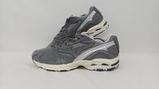 WAVE RIDER 10|MIZUNO