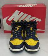 DUNK HI SP|NIKE