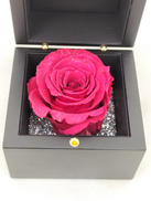 ブリザードフラワー|ROSE GALLERY