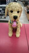 ゴールデンレトリーバーの子犬|LEGO