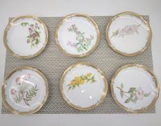 14㎝プレート6枚|NORITAKE