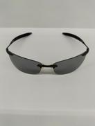 偏光サングラス|SWANS