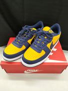 TERMINATOR MICHIGAN|NIKE