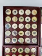 ディアゴスティーニ|ディアゴスティーニ トレジャーストーン 鉱石標本