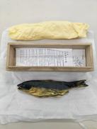 鮭寿恵帰|北村西望