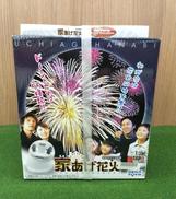 家あげ花火 家庭用花火投影機|SEGA TOYS