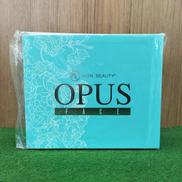 OPUS FACE 美顔器|NION BEAUTY