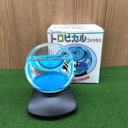 トロピカルフィッシュ|イメージクロック