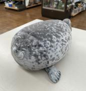 YOUプラスMORE|海遊館