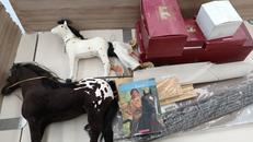 THE AMERICAN GIRLS COLLECTION|AMERICAN GIRL