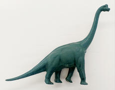 ブラキオサウルス/Brachiosaurus|INVICTA
