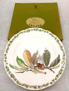 となりのトトロ|NORITAKE