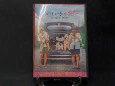 マイ・ハート・パピー|アメイジングD.C.