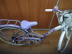 子供用変速機付き自転車|21テクノロジー社