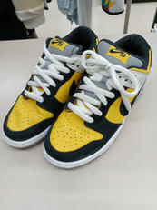 DUNK LOW PRO SB|NIKE