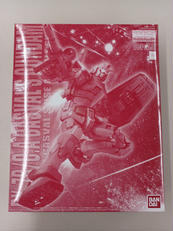 1/100MG　機動戦士ガンダムギレンの野望