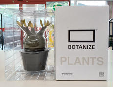 PACHYPODIUM GRACILIUS|MEDICOMTOY×BOTANIZE