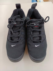 SB Darwin Low|SUPREME×NIKE