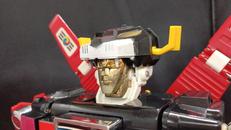 百獣の王っぽい人|江南モデル