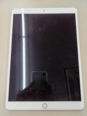 IPAD PRO 256GB|APPLE