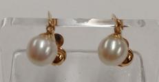 パール付きイヤリング|K18