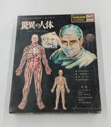 驚異の人体|MARUSAN