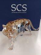 SCS　ENDANGERED WILDLIFE TIGER|SWAROVSKI