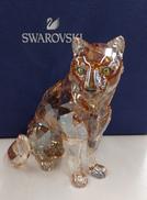 SCS　SOFIA|SWAROVSKI