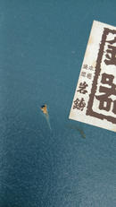 imgMap['COMMENT']}