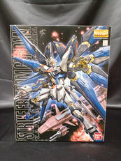 MG ストライクフリーダムガンダム