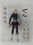 S.H.FIGUARTS|BANDAI