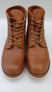 アイリッシュセッター|RED WING