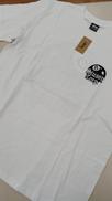 メンズ Tシャツ|STUSSY
