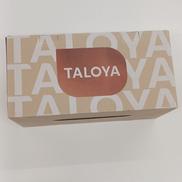 シーリングファン|TALOYA